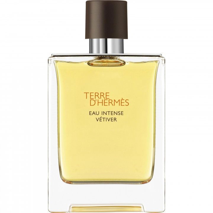 Terre d'Hermès Eau Intense Vétiver